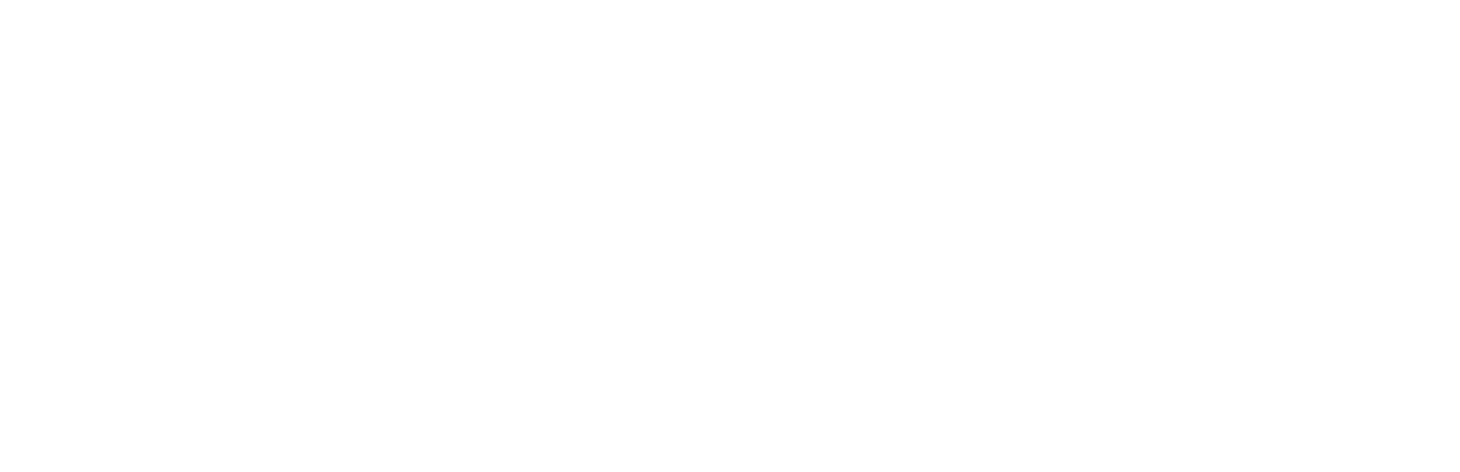 Koldsø Fotografi logo